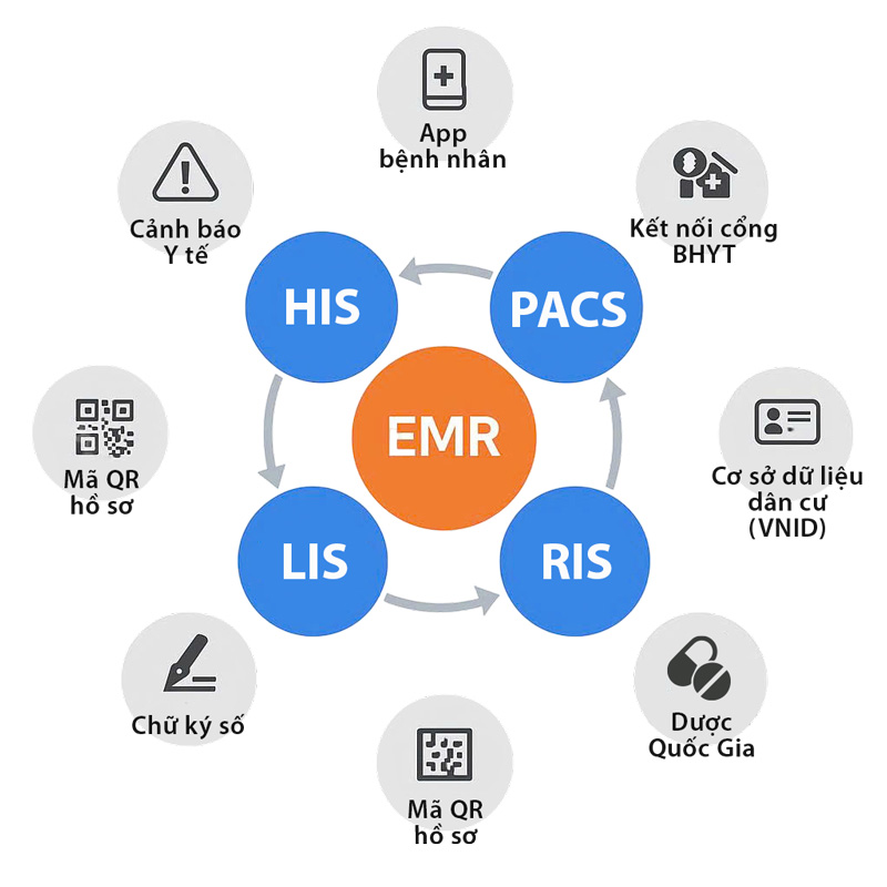 mô hình bệnh án điện tử E-EMR trong quản lý bệnh viện Ehis