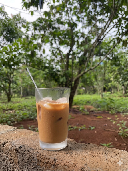 ☕ Vì sao cà phê nguyên chất thường ít bọt hơn cà phê tẩm ?