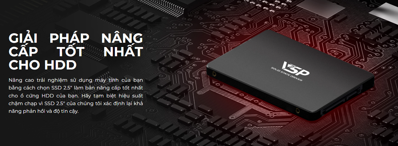 SSD VSP 256GB 860G