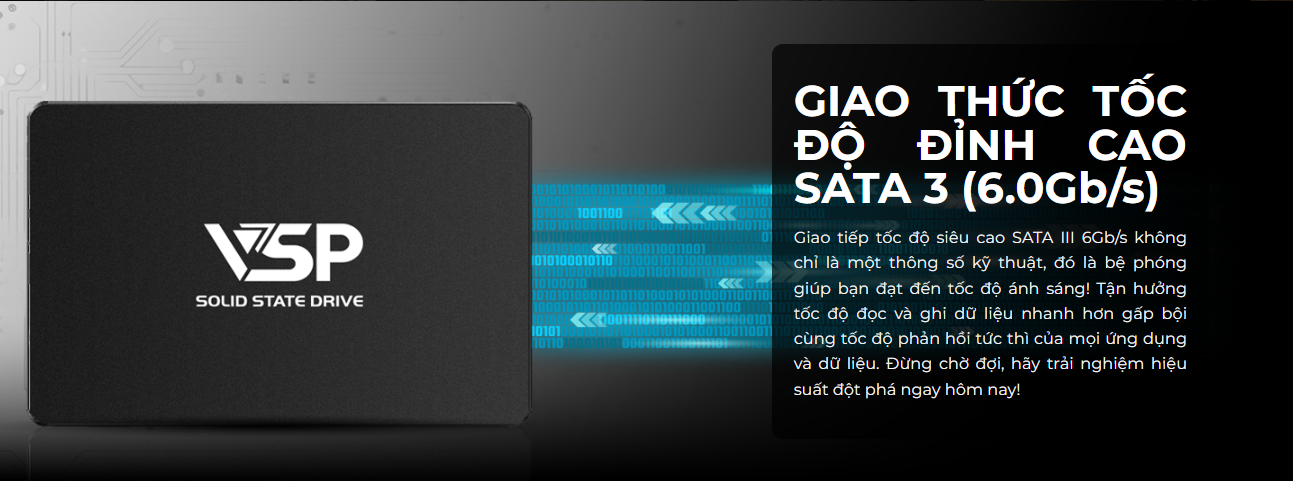 SSD VSP 256GB 860G