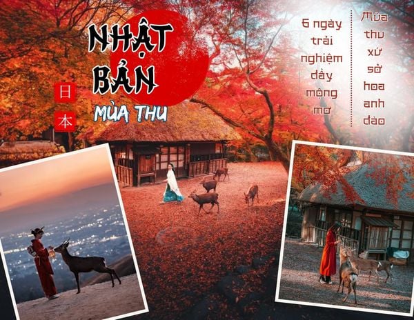 🇯🇵 Nhật Bản - 6 ngày trải nghiệm mùa thu cổ tích ⛩️🍂