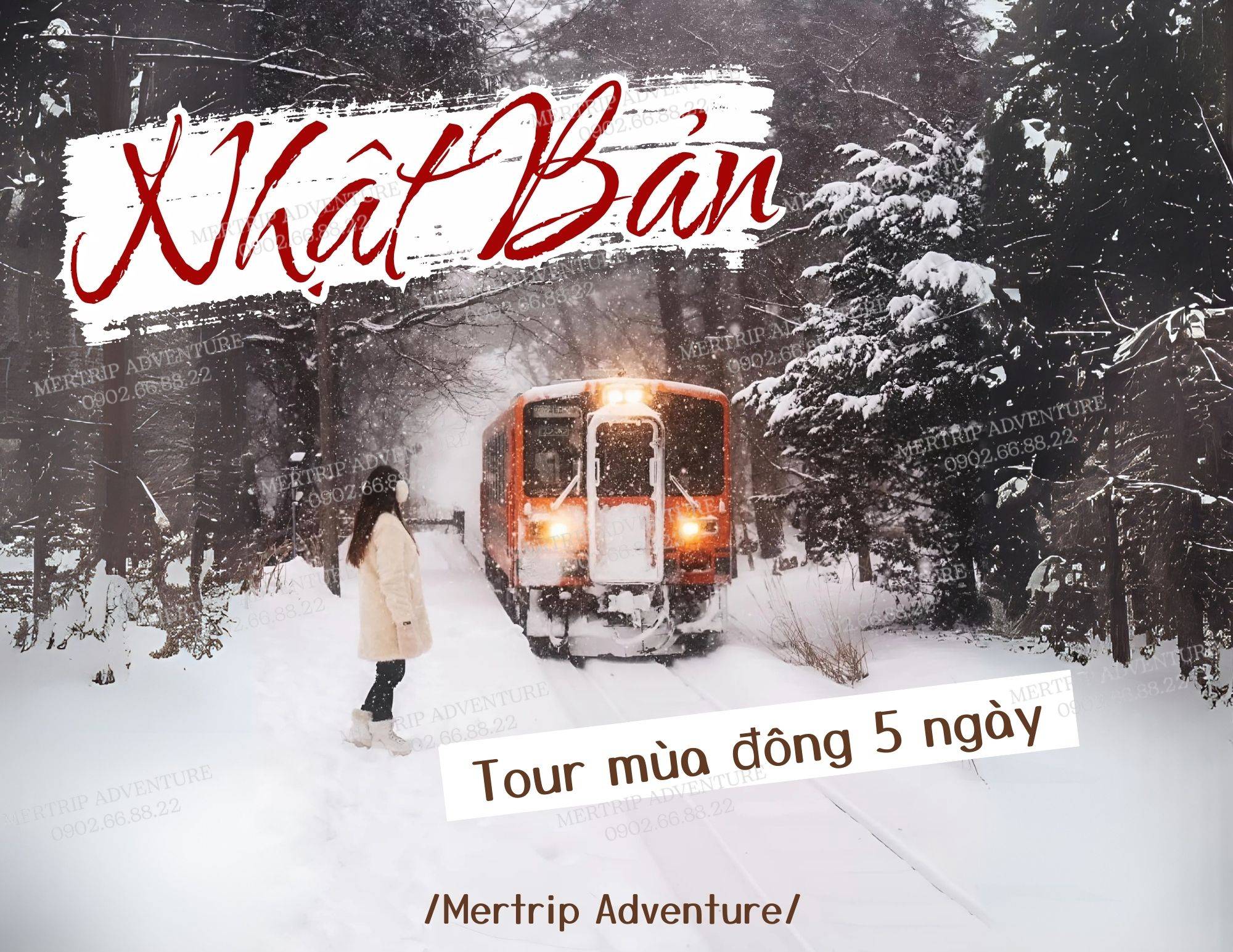 ❄️🇯🇵 Nhật Bản 5 ngày – Khúc ca mùa đông xứ Phù Tang