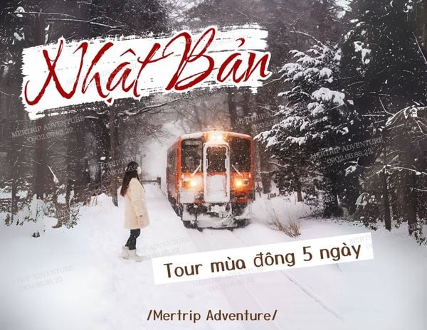 ❄️🇯🇵 Nhật Bản 5 ngày – Khúc ca mùa đông xứ Phù Tang