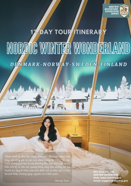 Du Lịch Bắc Âu: Hành Trình Qua Miền Cổ Tích Tuyết Trắng 🇩🇰 🇳🇴 🇸🇪 🇫🇮