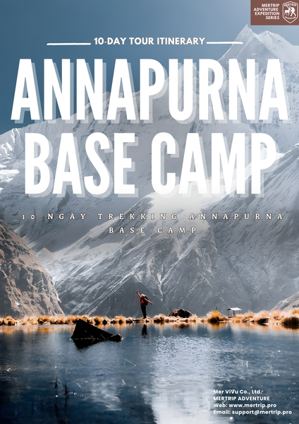 🇳🇵 Annapurna Base Camp Trek – 10 ngày trekking giữa rừng đỗ quyên, làng Gurung & suối nóng Himalaya ✨