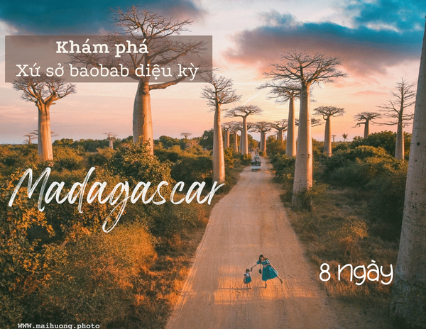 8 ngày khám phá 🇲🇬 Madagascar - Xứ sở baobab diệu kỳ