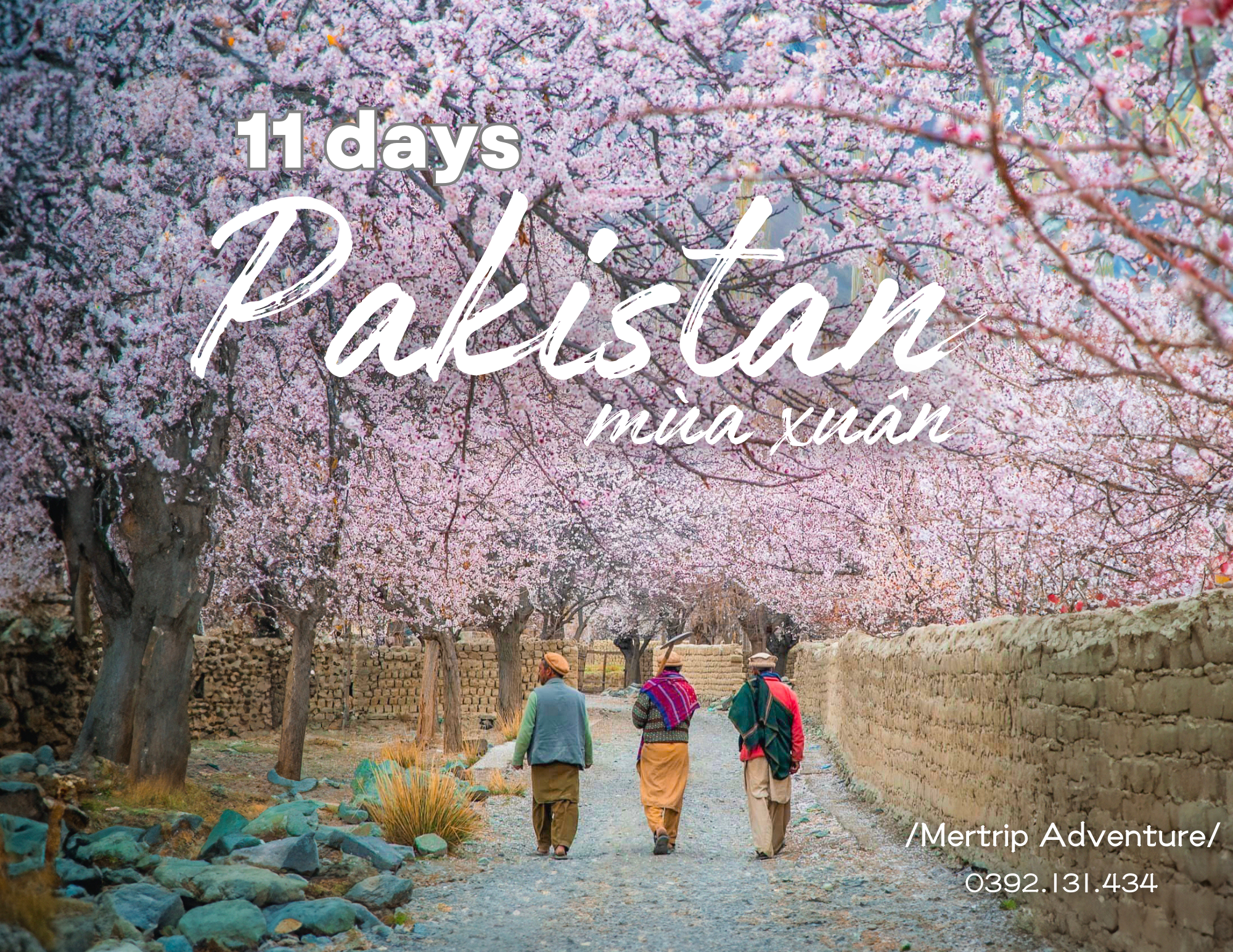 🌸 11 ngày ngắm mùa xuân hoa đào rực rỡ 🇵🇰 Pakistan