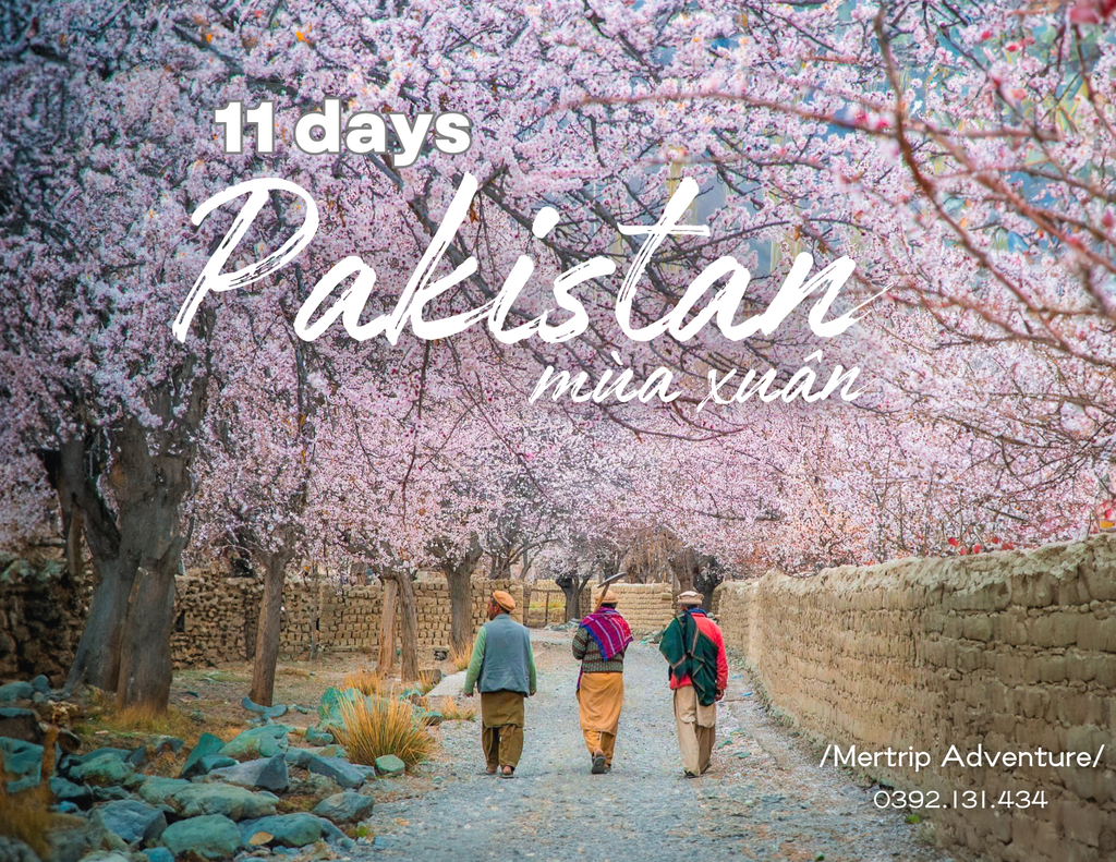 🌸 11 ngày ngắm mùa xuân hoa đào rực rỡ 🇵🇰 Pakistan