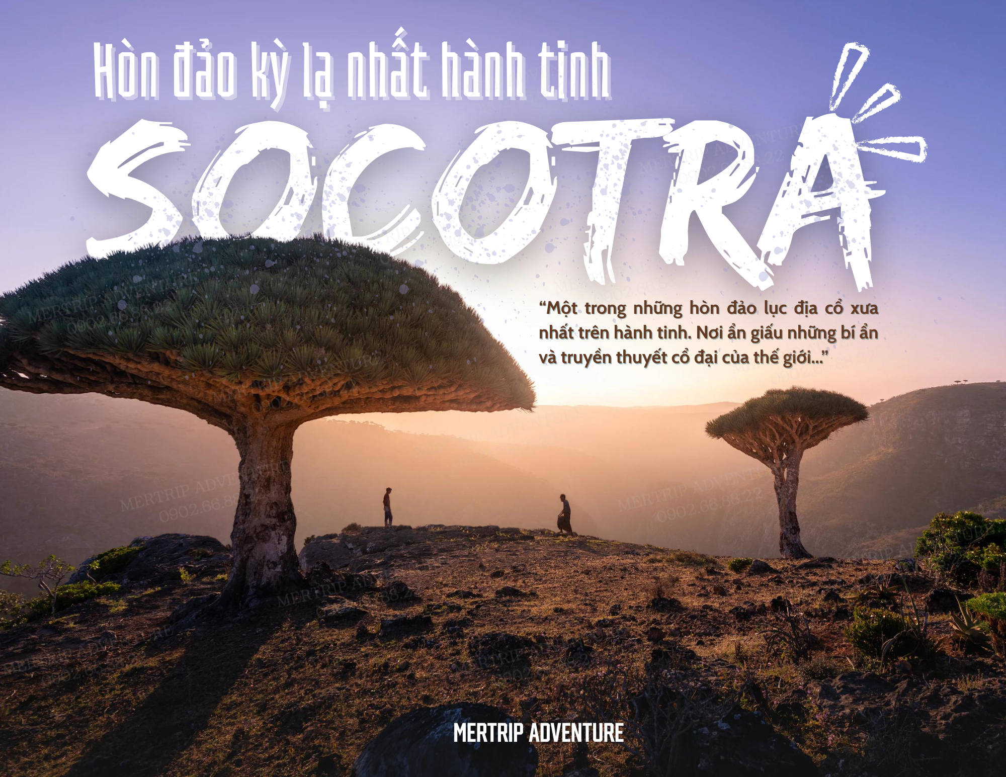 🇾🇪 8 ngày khám phá Socotra – Chạm đến hòn đảo kỳ lạ nhất hành tinh ✨