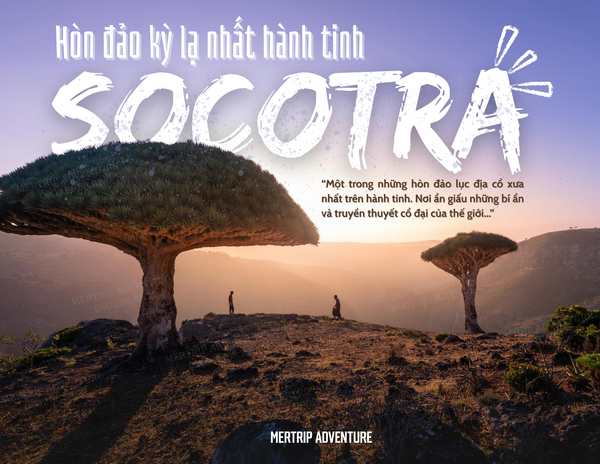🇾🇪 8 ngày khám phá Socotra – Chạm đến hòn đảo kỳ lạ nhất hành tinh ✨