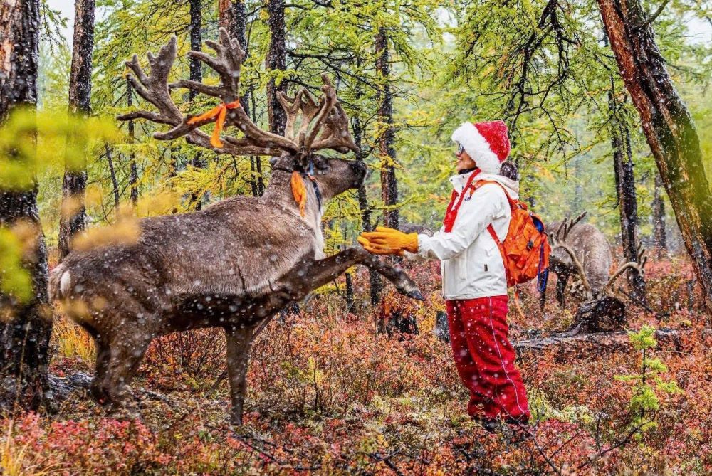 Sand Rose - Planner & Operator