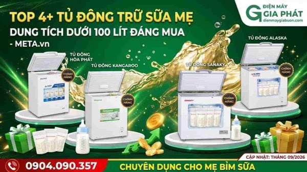 Top 4+ tủ đông trữ sữa mẹ dung tích dưới 100 lít đáng mua