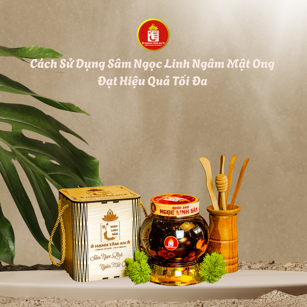 Cách sử dụng Sâm Ngọc Linh ngâm mật ong đạt hiệu quả tối đa