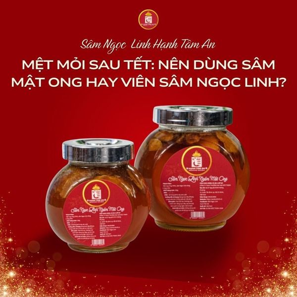 Mệt mỏi sau Tết: Nên dùng Sâm mật ong hay Viên Sâm Ngọc Linh?