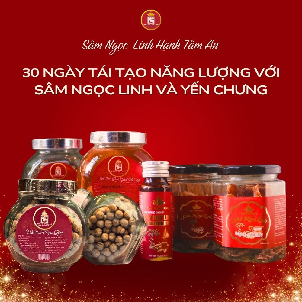 30 ngày tái tạo năng lượng với Sâm Ngọc Linh và Yến chưng
