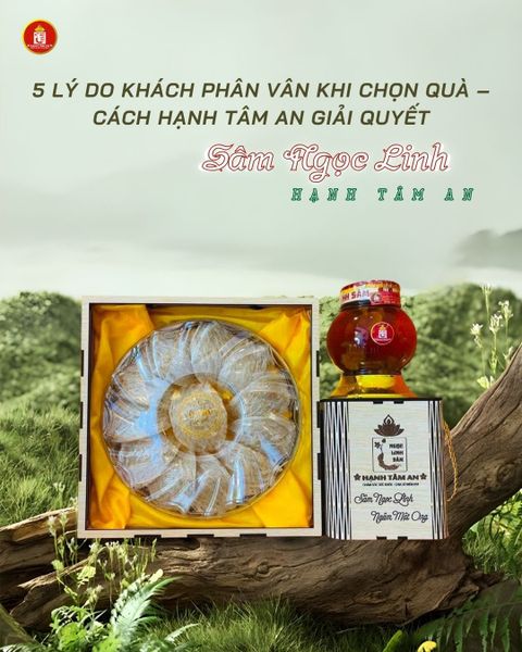 5 Lý Do Khách Phân Vân Khi Chọn Quà – Cách Hạnh Tâm An Giải Quyết