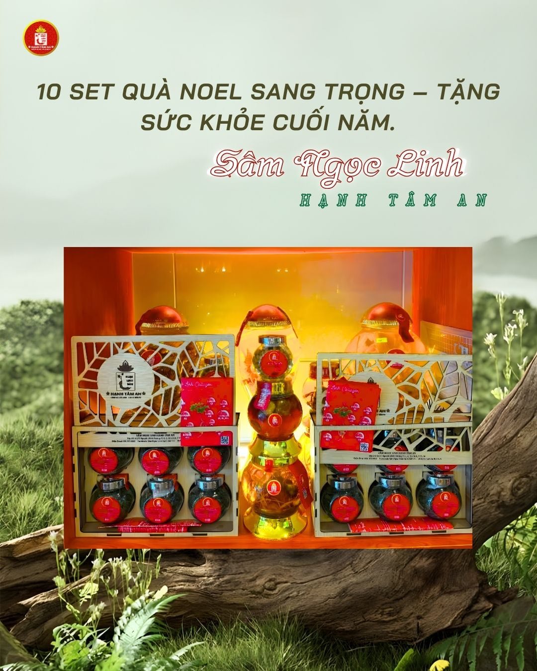 10 Set Quà Noel Sang Trọng – Tặng Sức Khỏe Cuối Năm