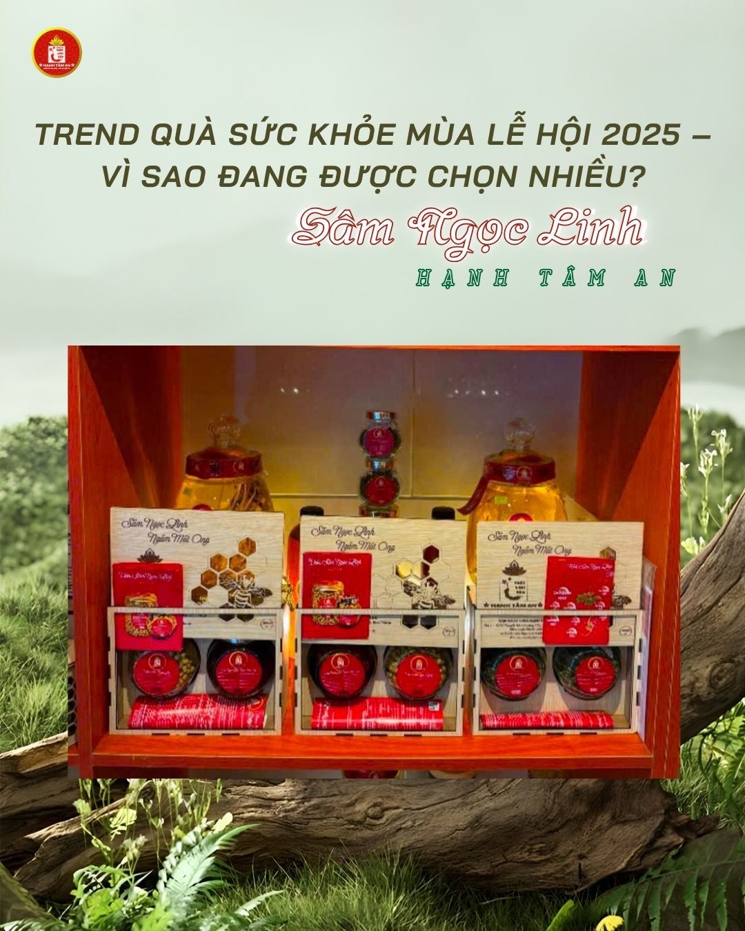 Trend Quà Sức Khỏe Mùa Lễ Hội 2025 – Vì Sao Đang Được Chọn Nhiều?