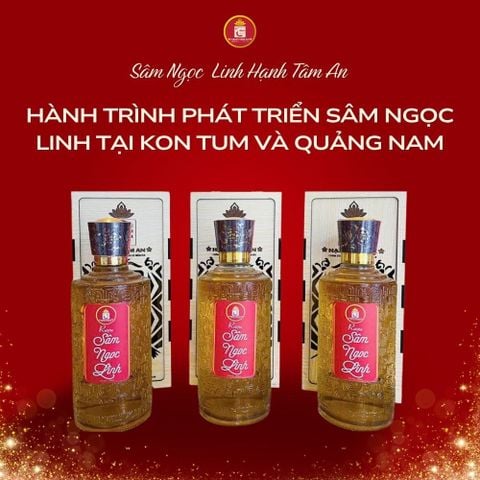 Hành trình phát triển Sâm Ngọc Linh tại Kon Tum và Quảng Nam