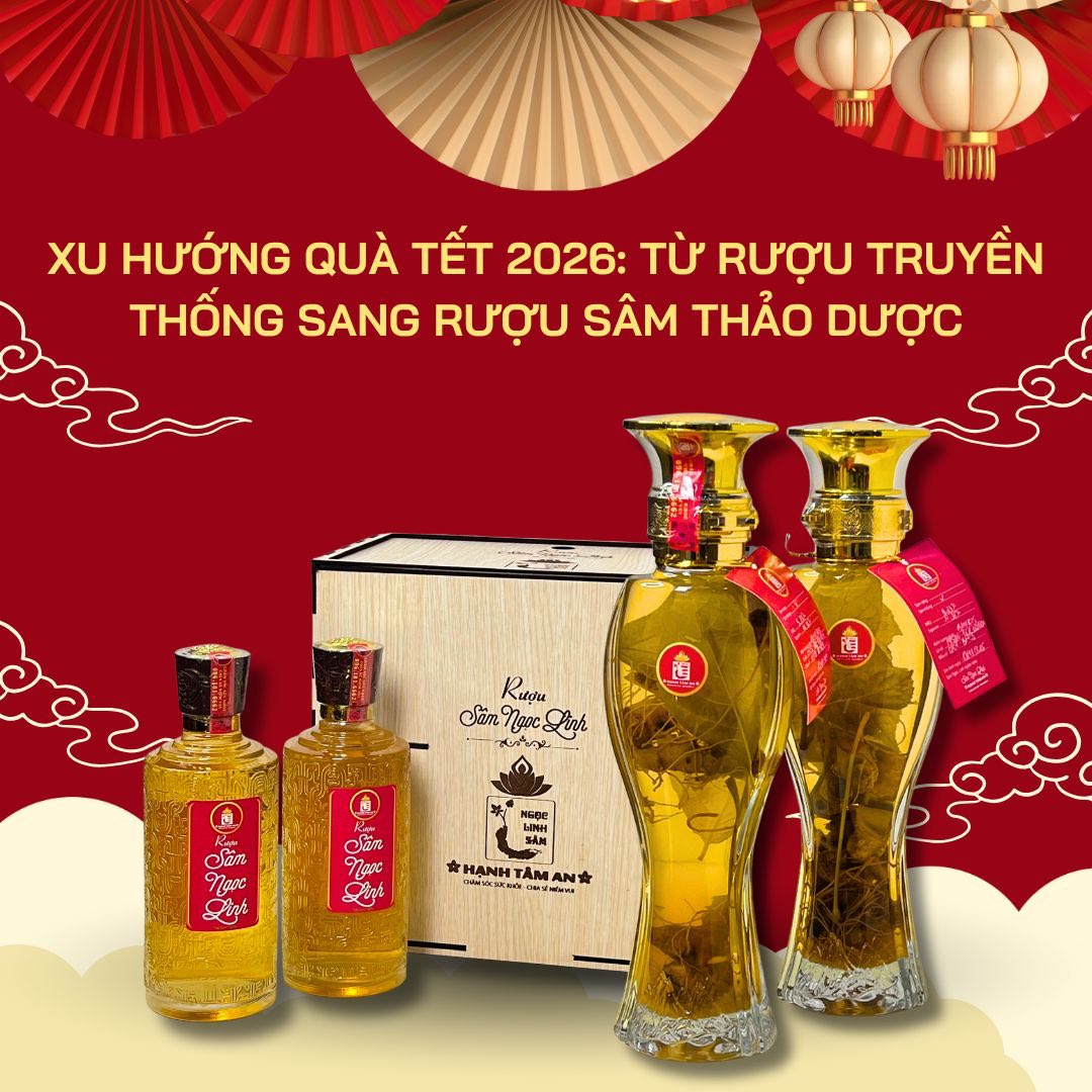 Xu Hướng Quà Tết 2026: Từ Rượu Truyền Thống Sang Rượu Sâm Thảo Dược