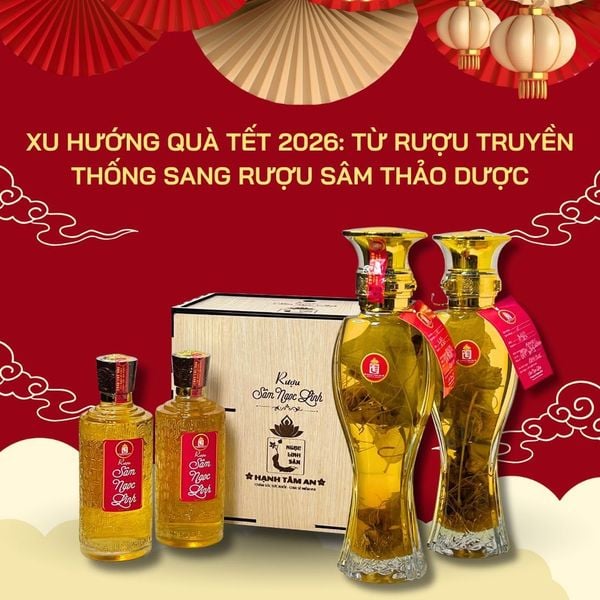 Xu Hướng Quà Tết 2026: Từ Rượu Truyền Thống Sang Rượu Sâm Thảo Dược