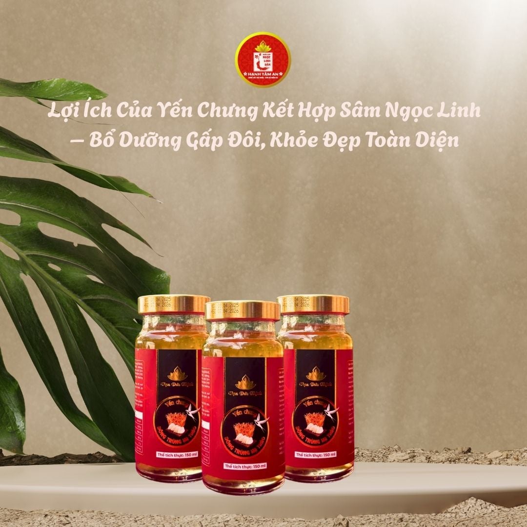 Lợi ích của yến chưng kết hợp Sâm Ngọc Linh – Bổ dưỡng gấp đôi, khỏe đẹp toàn diện