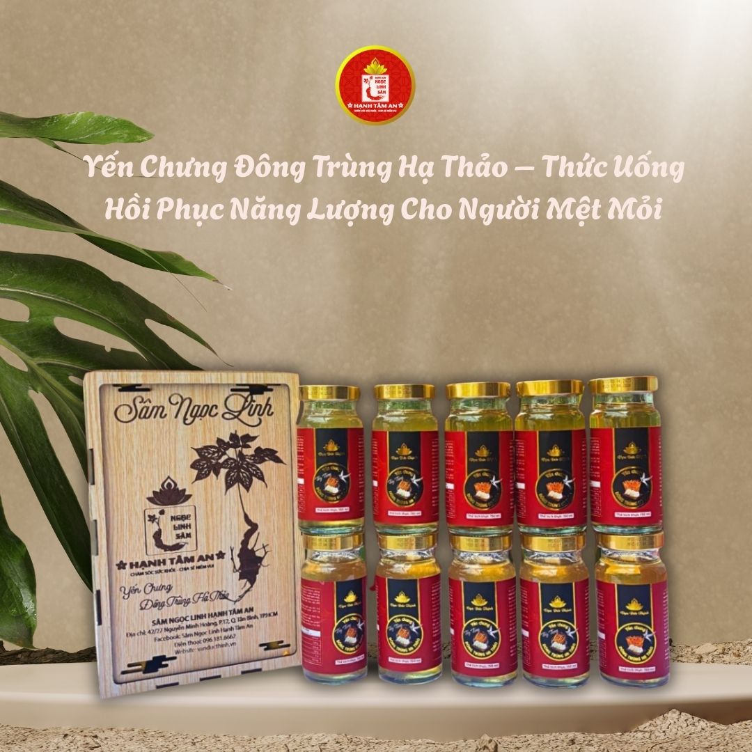 Yến Chưng Đông Trùng Hạ Thảo – Thức Uống Hồi Phục Năng Lượng Cho Người Mệt Mỏi