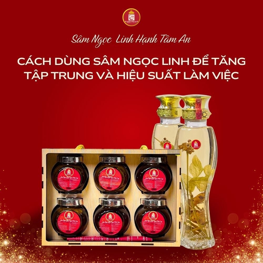 Cách dùng Sâm Ngọc Linh để tăng tập trung và hiệu suất làm việc