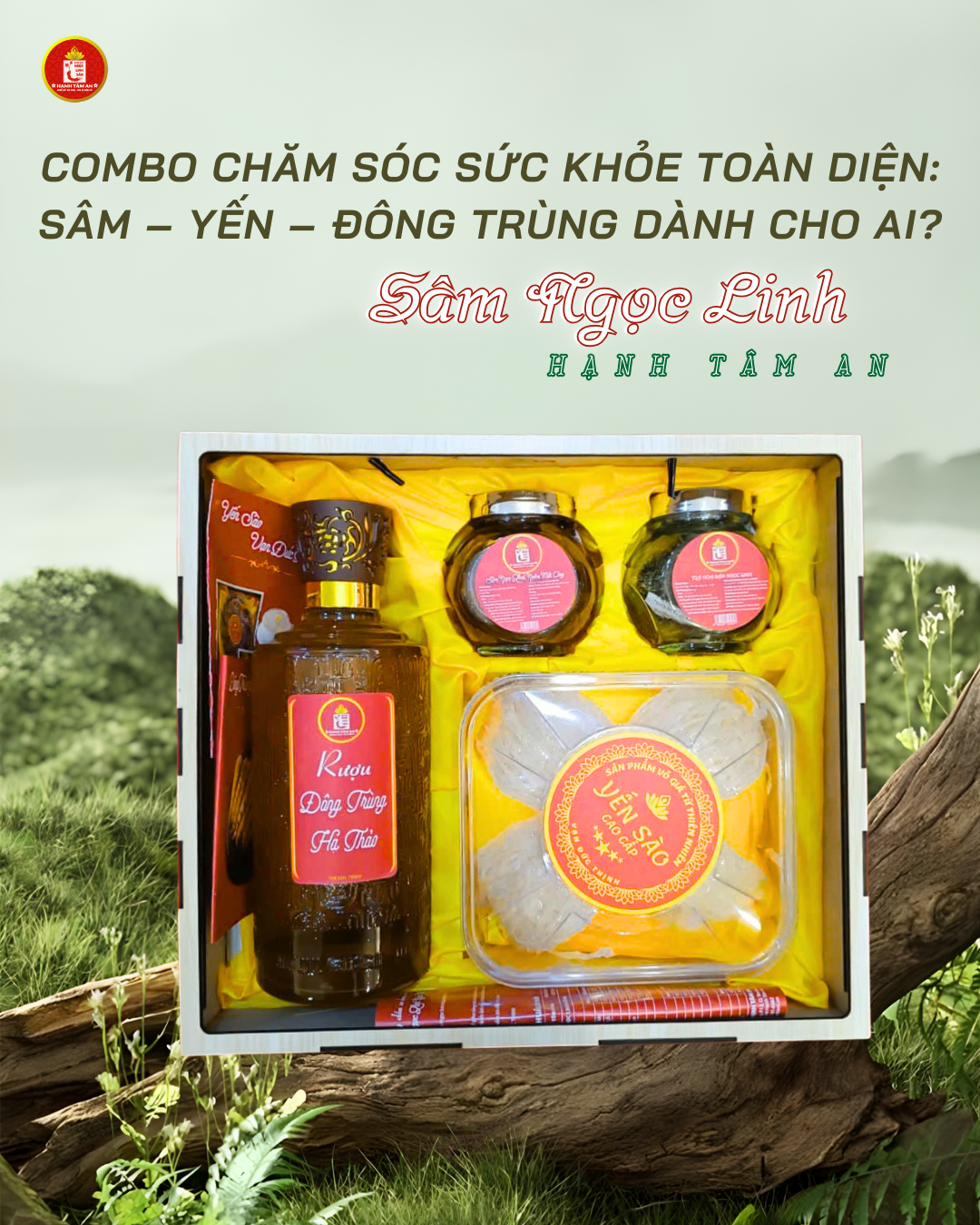 Combo chăm sóc sức khỏe toàn diện: Sâm – Yến – Đông Trùng dành cho ai?