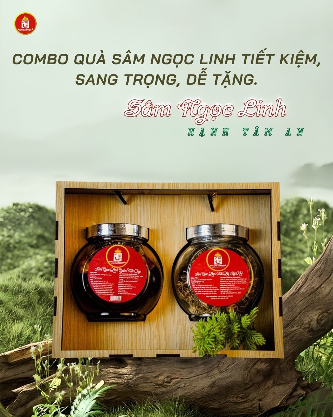 Combo Quà Noel Cho Doanh Nghiệp – Sang – Đẹp – Dưới 1 Triệu