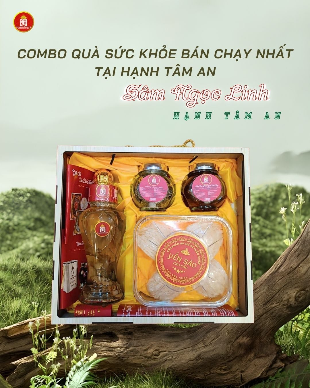 Combo Quà Sức Khỏe Bán Chạy Nhất Tại Hạnh Tâm An