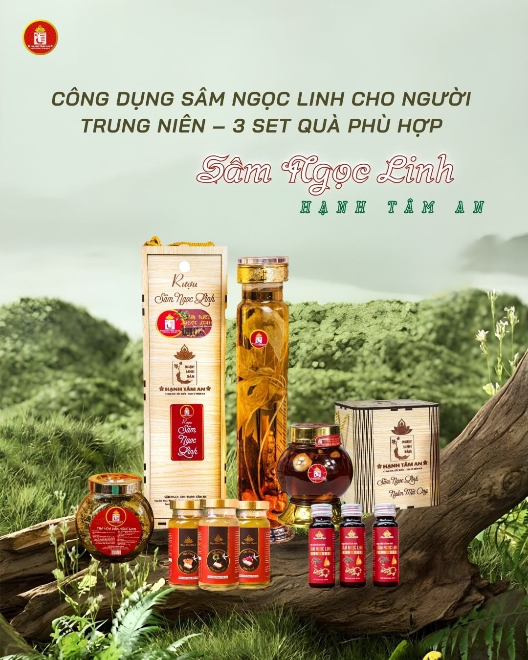 Công Dụng Sâm Ngọc Linh Cho Người Trung Niên – 3 Set Quà Phù Hợp