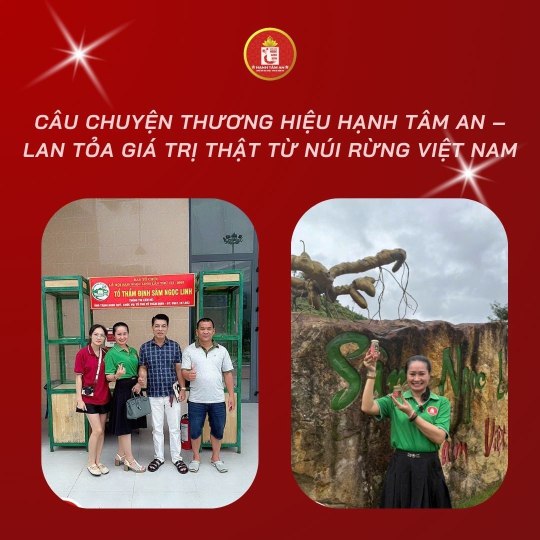 Câu Chuyện Thương Hiệu Hạnh Tâm An – Lan Tỏa Giá Trị Thật Từ Núi Rừng Việt Nam
