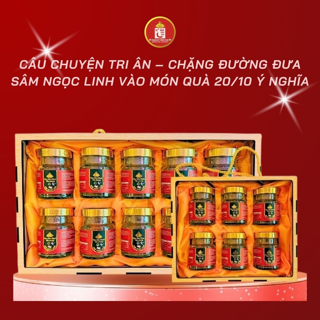 Câu chuyện tri ân – Chặng đường đưa Sâm Ngọc Linh vào món quà 20/10 ý nghĩa