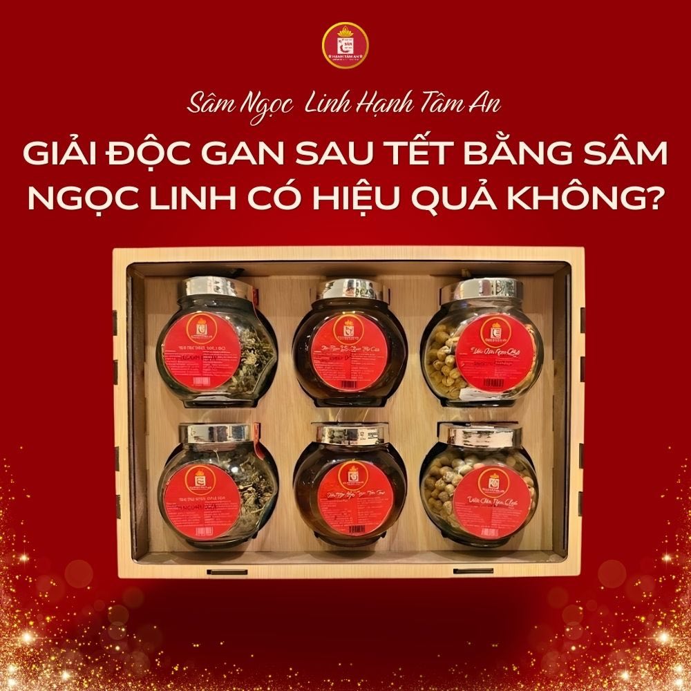 Giải độc gan sau Tết bằng Sâm Ngọc Linh có hiệu quả không?