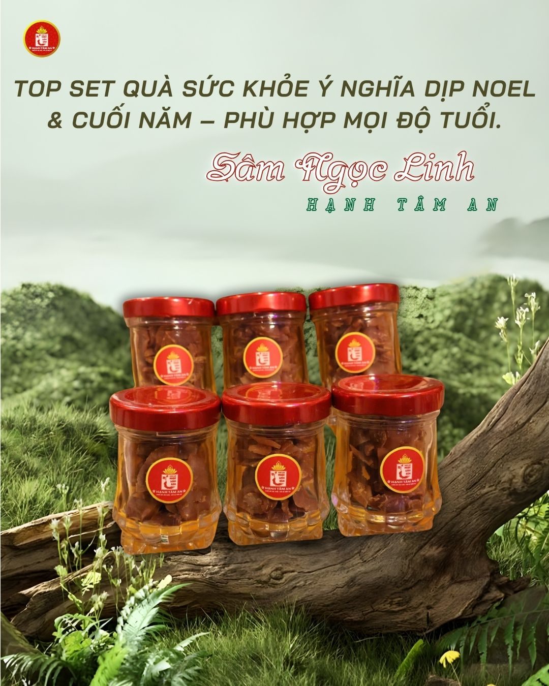 Top Set Quà Sức Khỏe Ý Nghĩa Dịp Noel & Cuối Năm – Phù Hợp Mọi Độ Tuổi