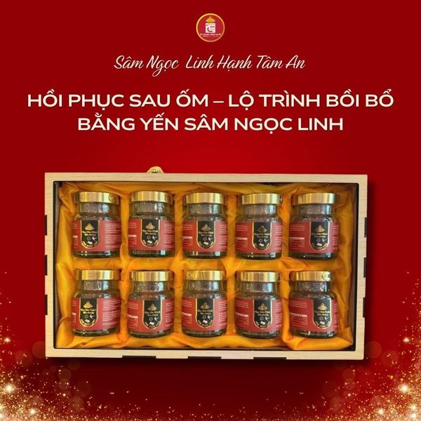 Hồi phục sau ốm – Lộ trình bồi bổ bằng Yến Sâm Ngọc Linh