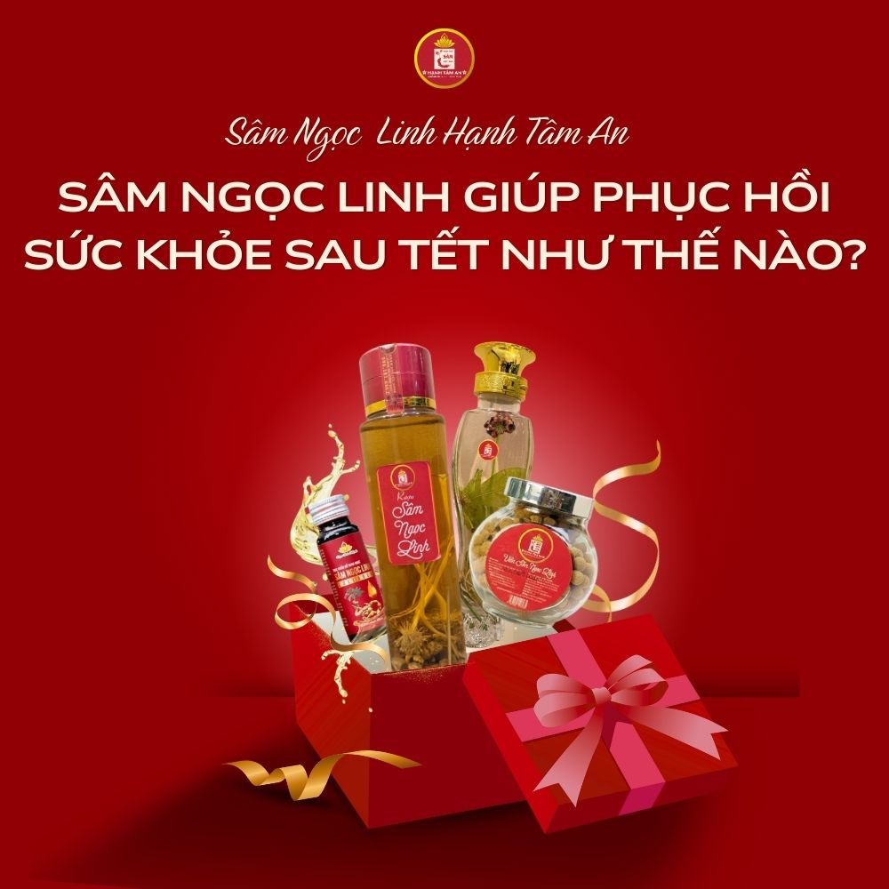 Sâm Ngọc Linh giúp phục hồi sức khỏe sau Tết như thế nào?