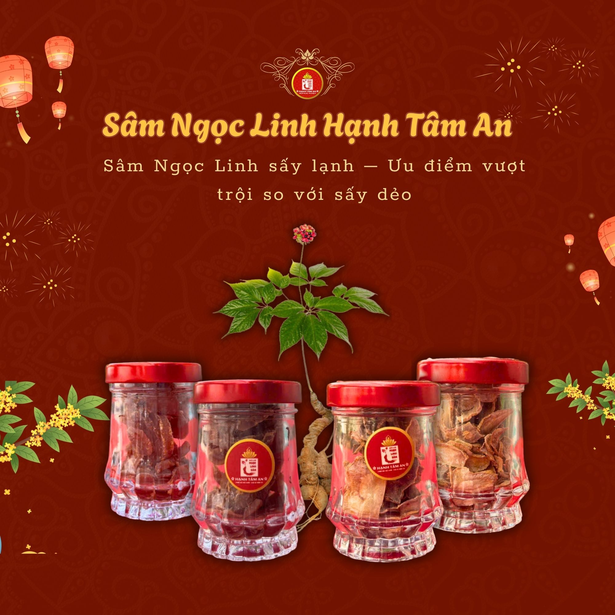 Sâm Ngọc Linh sấy lạnh – Ưu điểm vượt trội so với sấy dẻo