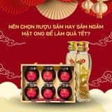 Nên Chọn Rượu Sâm Hay Sâm Ngâm Mật Ong Để Làm Quà Tết?