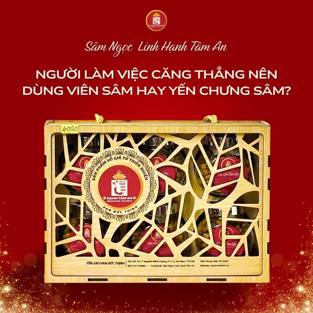 Người làm việc căng thẳng nên dùng Viên Sâm hay Yến chưng Sâm?
