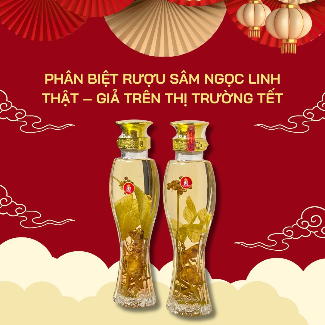 Phân biệt rượu Sâm Ngọc Linh thật – giả trên thị trường Tết