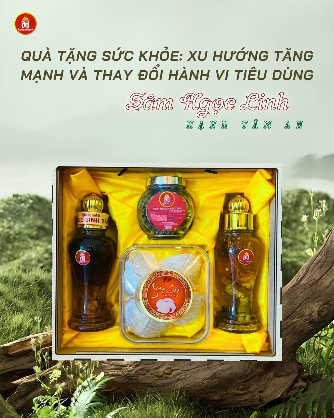 Quà Tặng Sức Khỏe: Xu Hướng Tăng Mạnh Và Thay Đổi Hành Vi Tiêu Dùng