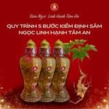 Quy trình 5 bước kiểm định Sâm Ngọc Linh Hạnh Tâm An