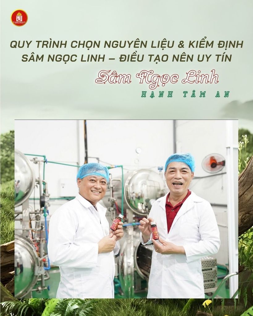 Quy Trình Chọn Nguyên Liệu & Kiểm Định Sâm Ngọc Linh – Điều Tạo Nên Uy Tín