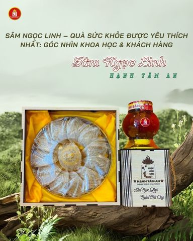 Sâm Ngọc Linh – Quà Sức Khỏe Được Yêu Thích Nhất: Góc Nhìn Khoa Học & Khách Hàng