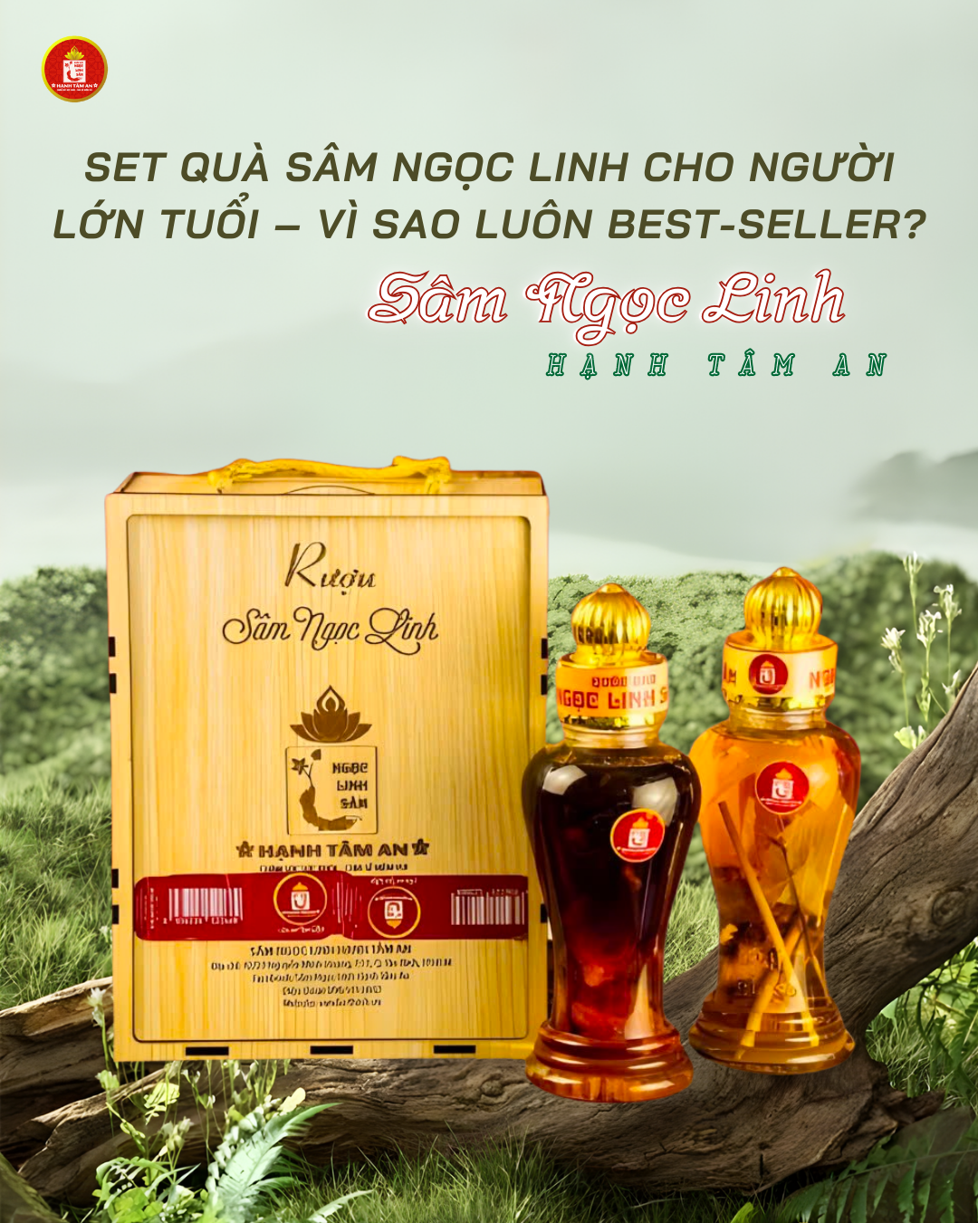 Set Quà Sâm Ngọc Linh Cho Người Lớn Tuổi – Vì Sao Luôn Best-Seller?