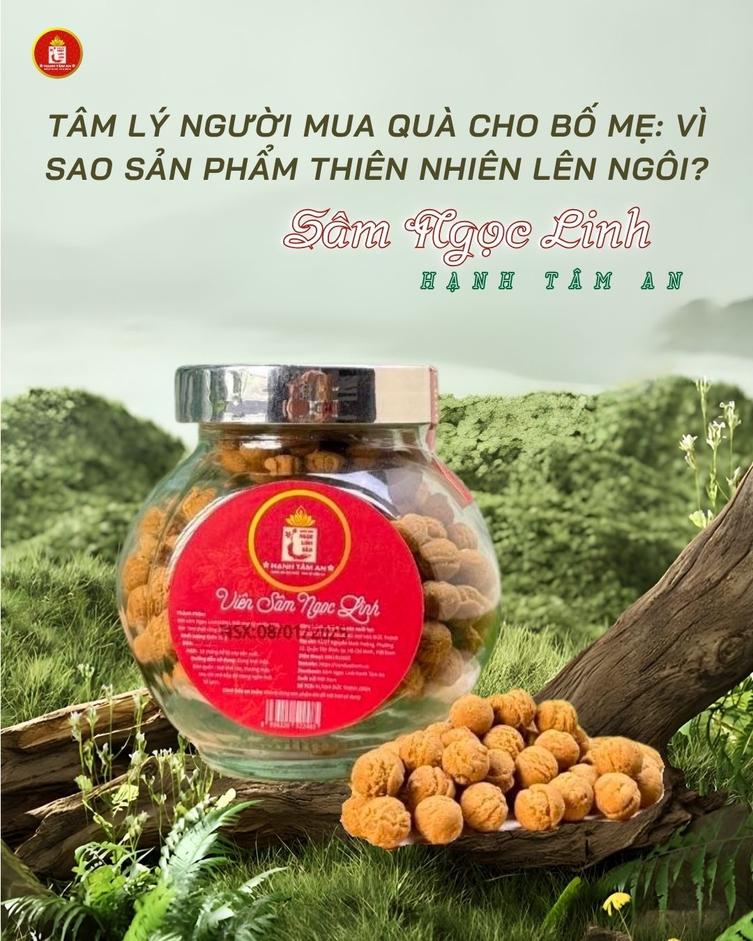 Tâm Lý Người Mua Quà Cho Bố Mẹ: Vì Sao Sản Phẩm Thiên Nhiên Lên Ngôi?