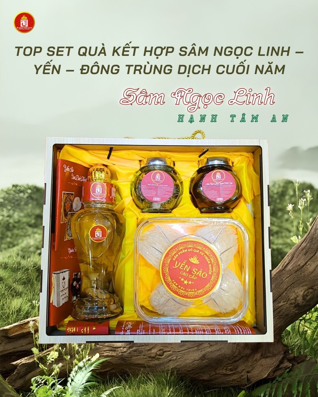 Top Set Quà Kết Hợp Sâm Ngọc Linh – Yến – Đông Trùng Dịch Cuối Năm