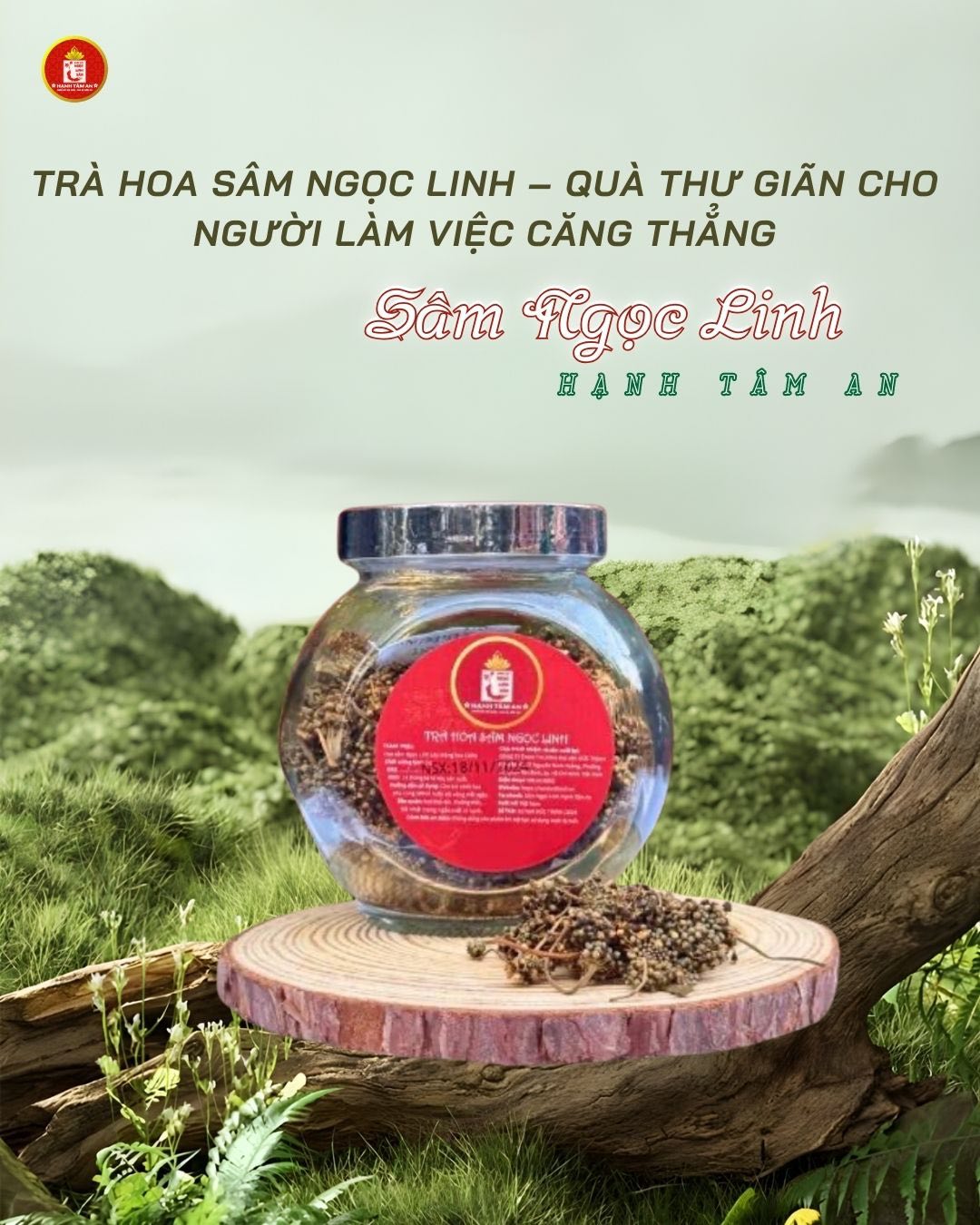 Trà Hoa Sâm Ngọc Linh – Quà Thư Giãn Cho Người Làm Việc Căng Thẳng